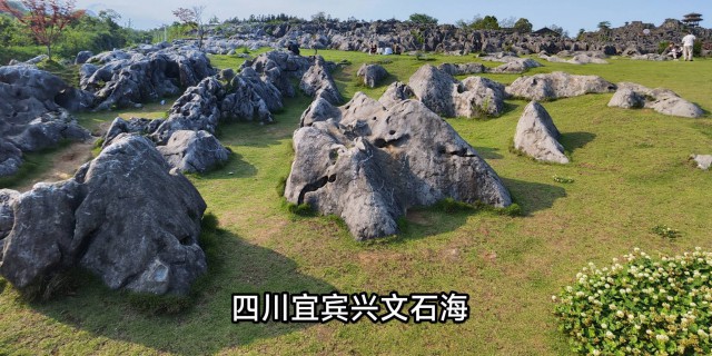 四川宜宾兴文石海 打卡随拍