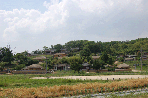 在韩国考察(一般旅游很难见到的地方 第一天:著名古村落—永东村