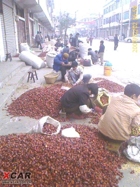 虾子辣椒市场图片