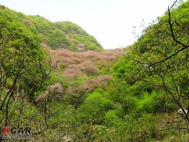 進太平峪離森林公園大約5公里處的一個岔路口,路邊