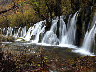 Լݺ֮д׷Ѱɫ
