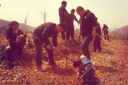2014年3月16日分享爱卡贵分爱心植树活动。