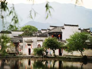 羰յİԼ
