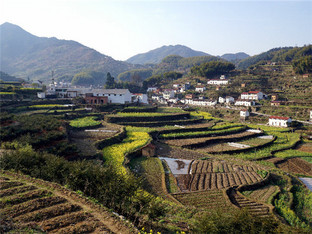 ָ 崾