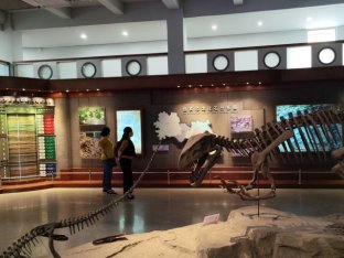 参观四川自贡恐龙博物馆