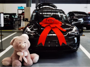 ˹´ﾧ MODEL Y ᳵ