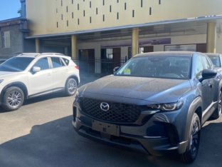 ԼCX-50 ֳɫ