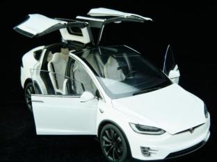 ˹MODEL X綯118ģ