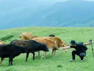 Լ봨µľ֮